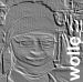 wolle